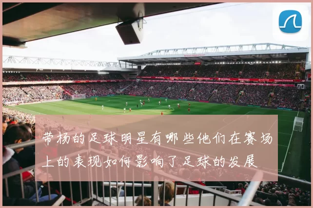 带杨的足球明星有哪些他们在赛场上的表现如何影响了足球的发展