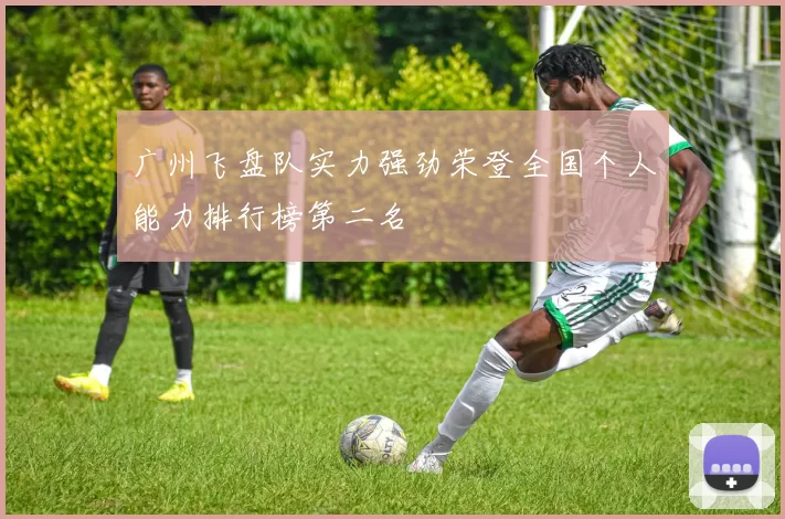 广州飞盘队实力强劲荣登全国个人能力排行榜第二名