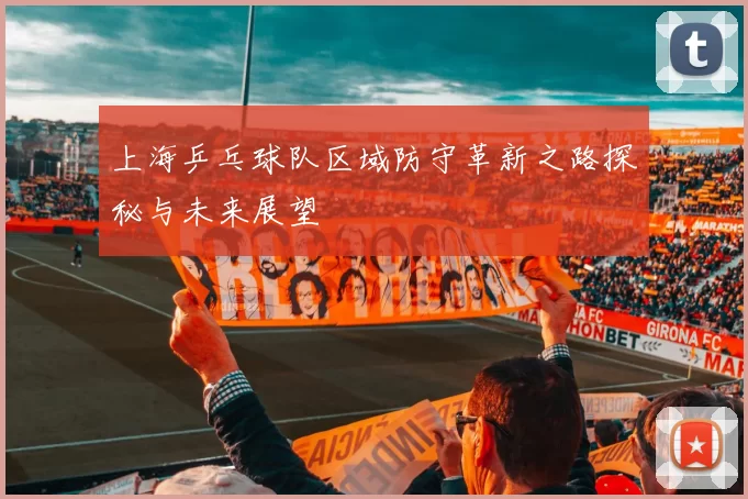 上海乒乓球队区域防守革新之路探秘与未来展望