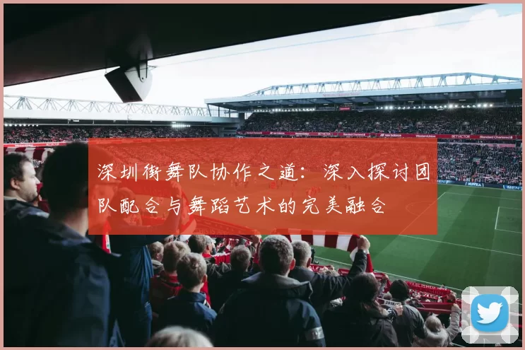 深圳街舞队协作之道：深入探讨团队配合与舞蹈艺术的完美融合