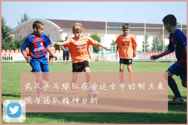 武汉乒乓球队在全运会中的耐力表现与团队精神分析
