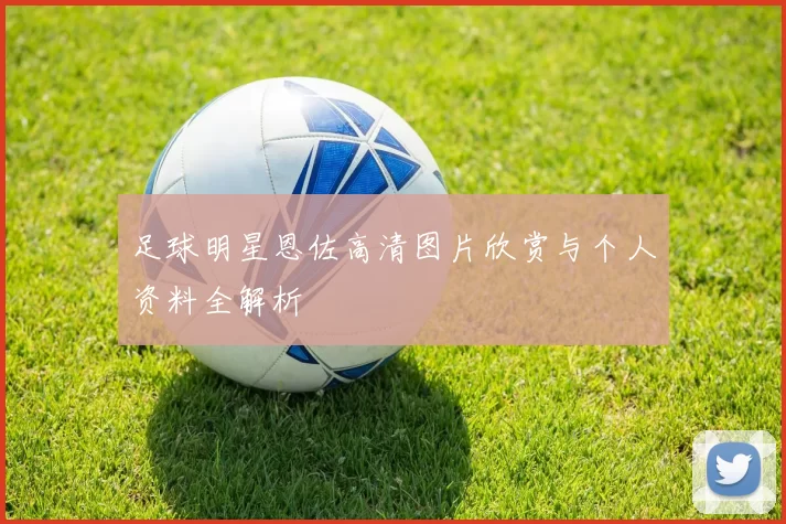 足球明星恩佐高清图片欣赏与个人资料全解析
