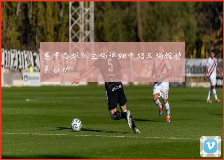 意甲各球队主场详细介绍及场馆特色剖析