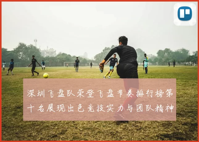 深圳飞盘队荣登飞盘节奏排行榜第十名展现出色竞技实力与团队精神