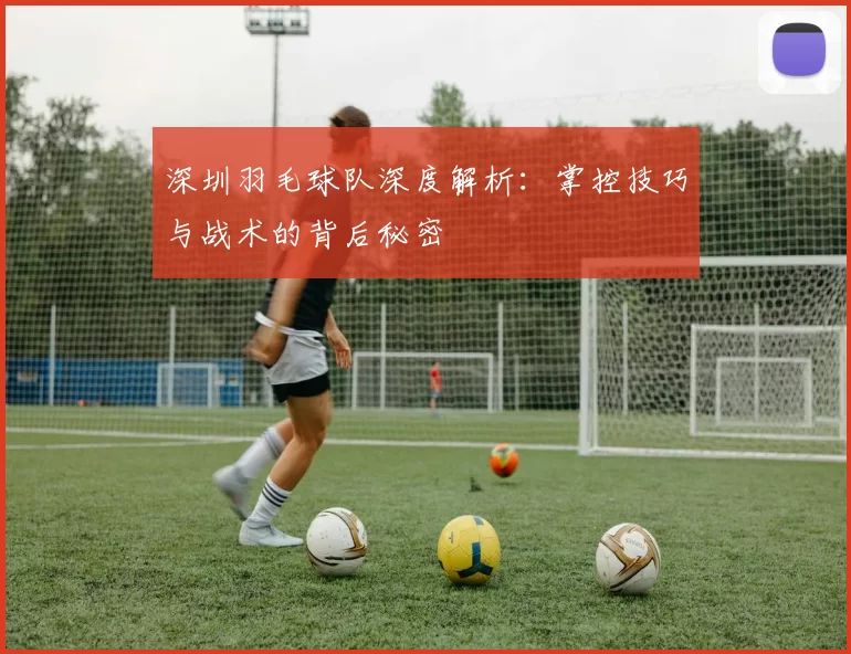 深圳羽毛球队深度解析：掌控技巧与战术的背后秘密