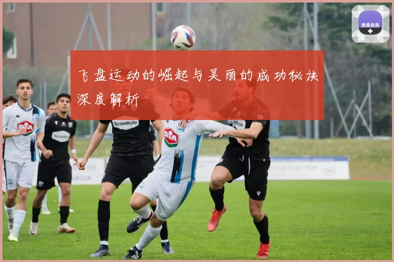 飞盘运动的崛起与吴丽的成功秘诀深度解析