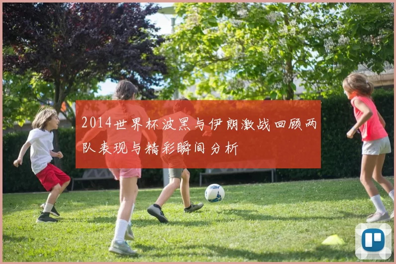 2014世界杯波黑与伊朗激战回顾两队表现与精彩瞬间分析