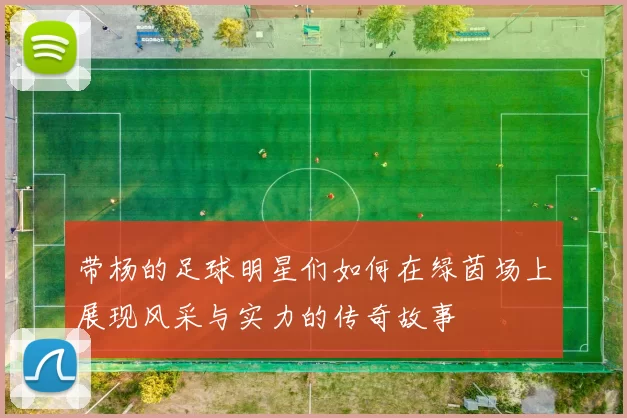 带杨的足球明星们如何在绿茵场上展现风采与实力的传奇故事