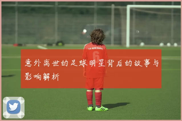 意外离世的足球明星背后的故事与影响解析