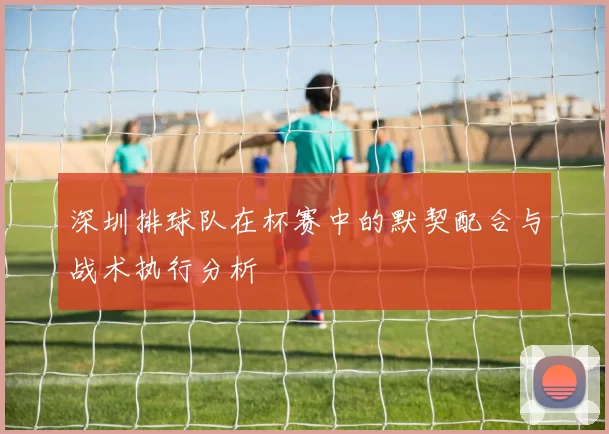 深圳排球队在杯赛中的默契配合与战术执行分析
