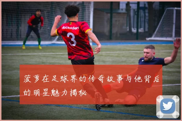 菠萝在足球界的传奇故事与他背后的明星魅力揭秘
