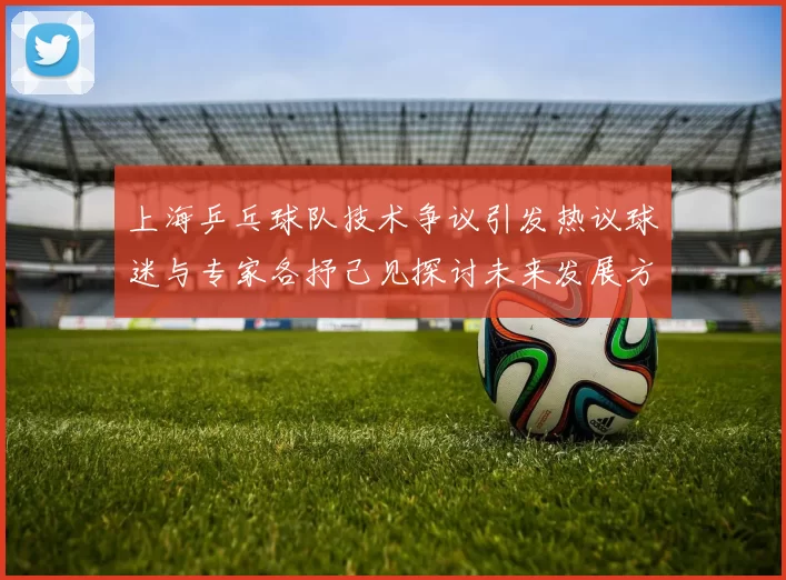 上海乒乓球队技术争议引发热议球迷与专家各抒己见探讨未来发展方向