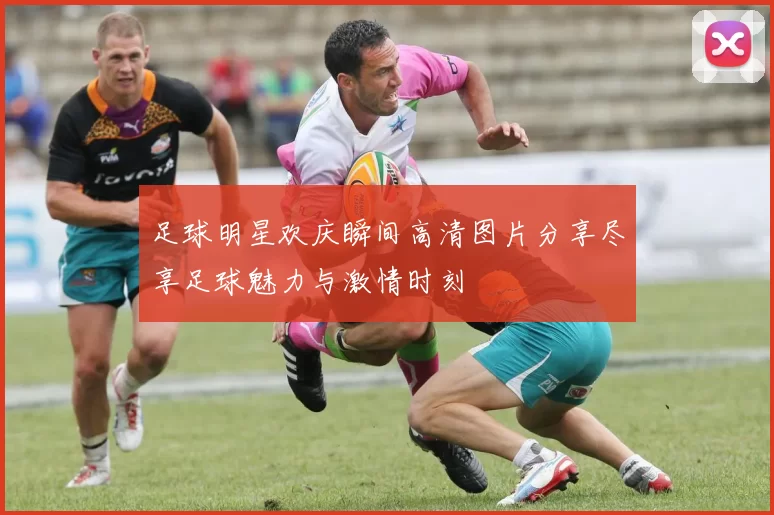 足球明星欢庆瞬间高清图片分享尽享足球魅力与激情时刻