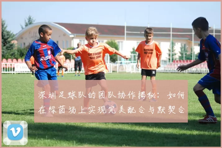 深圳足球队的团队协作揭秘：如何在绿茵场上实现完美配合与默契合作