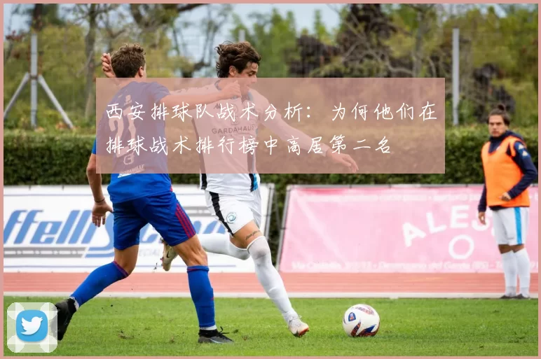 西安排球队战术分析：为何他们在排球战术排行榜中高居第二名