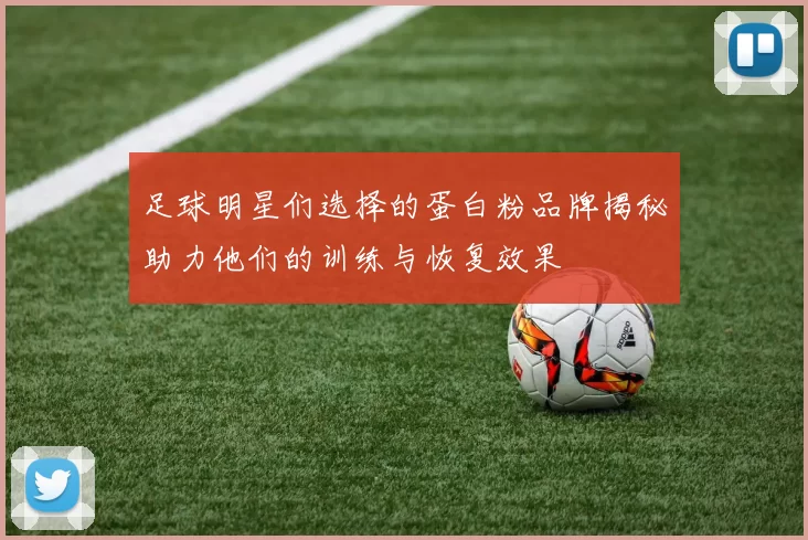 足球明星们选择的蛋白粉品牌揭秘助力他们的训练与恢复效果