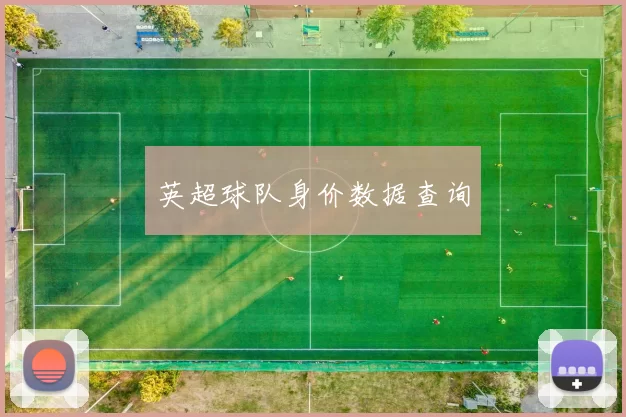 英超球队身价数据查询