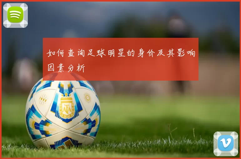 如何查询足球明星的身价及其影响因素分析