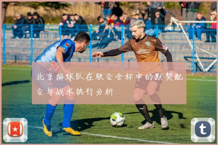 北京排球队在联合会杯中的默契配合与战术执行分析