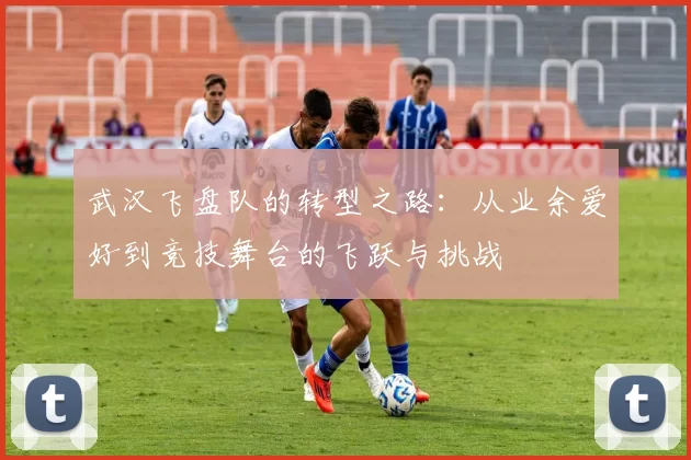 武汉飞盘队的转型之路：从业余爱好到竞技舞台的飞跃与挑战