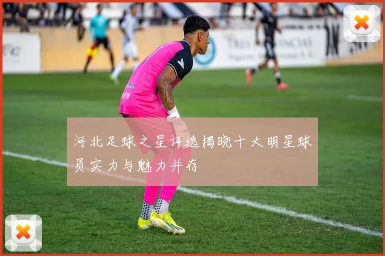 河北足球之星评选揭晓十大明星球员实力与魅力并存