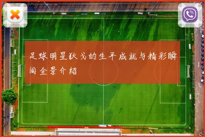 足球明星狄戈的生平成就与精彩瞬间全景介绍