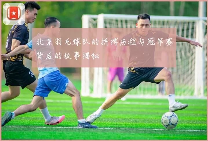 北京羽毛球队的拼搏历程与冠军赛背后的故事揭秘