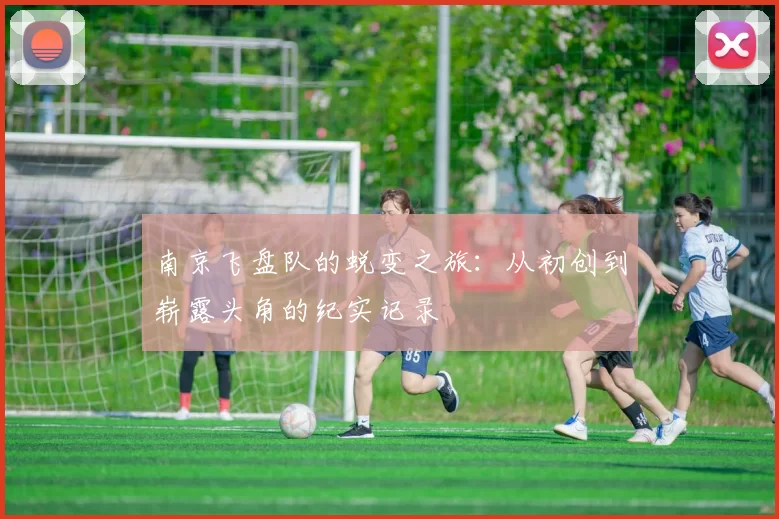 南京飞盘队的蜕变之旅：从初创到崭露头角的纪实记录