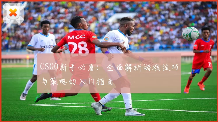 CSGO新手必看：全面解析游戏技巧与策略的入门指南