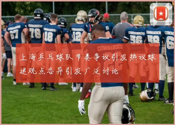 上海乒乓球队节奏争议引发热议球迷观点各异引发广泛讨论